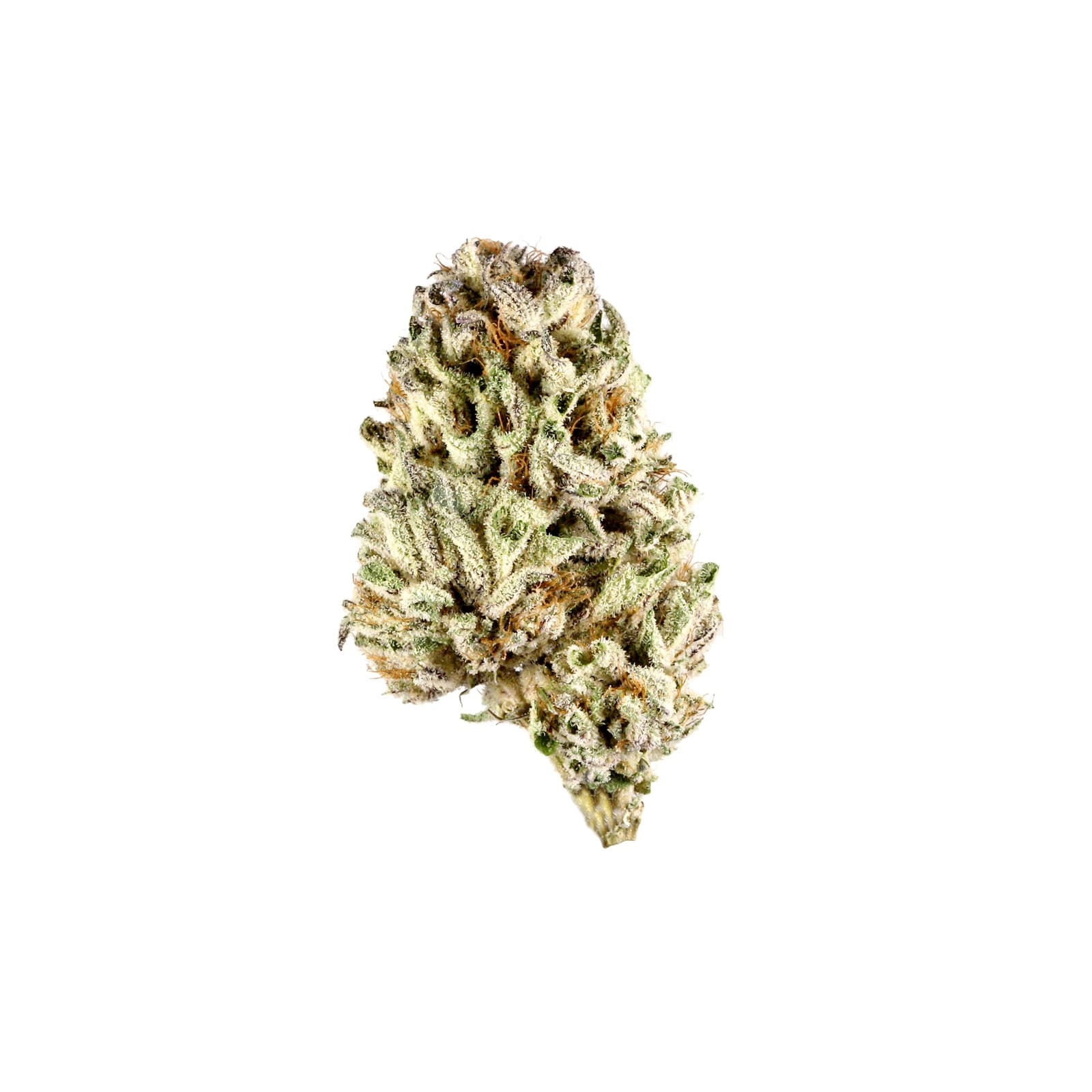 Pink Rockstar cannabis flower strain product, 91oz daily serving, vibrant pink-hued buds with rich trichome coverage