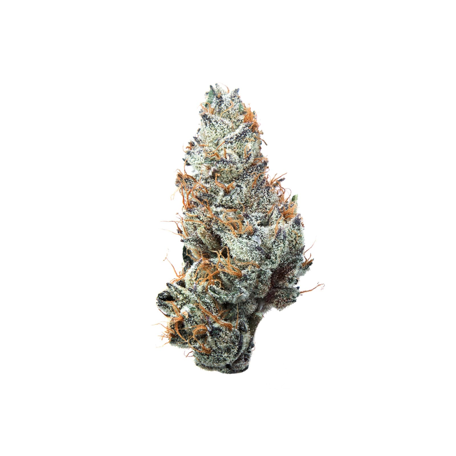 Purple Grape Ape cannabis strain close-up showing dense violet-hued buds with frosty trichomes and deep green leaves