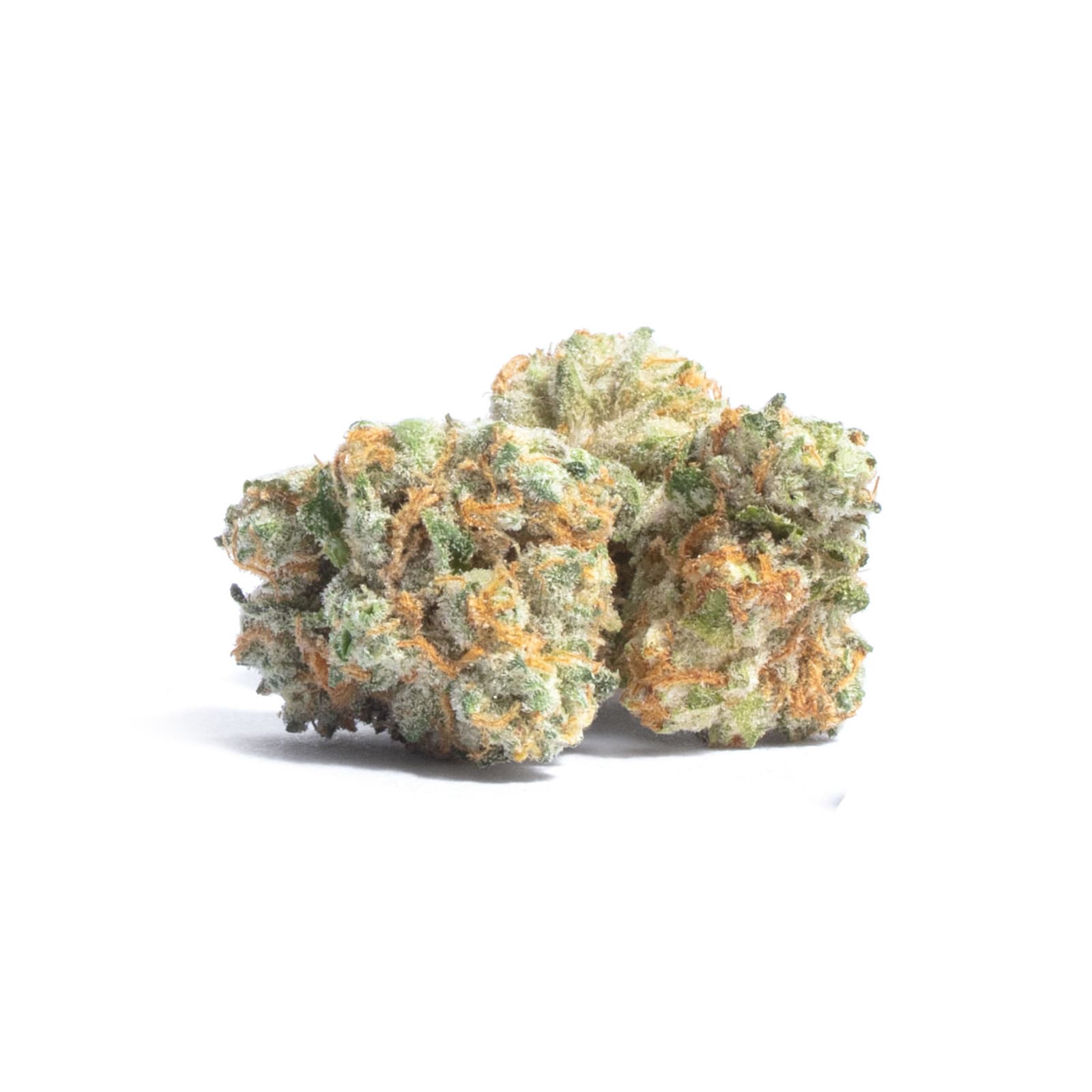 MAC Stomper cannabis flower buds showcasing dense trichome-covered nugs with vibrant coloring typical of this potent strain