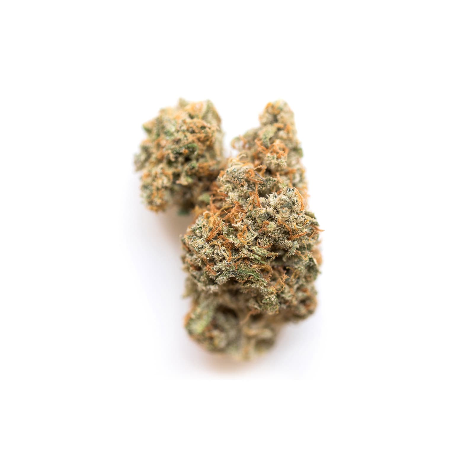 Lemon Meringue cannabis strain close-up showing bright yellow and white trichome-covered buds with citrus hues