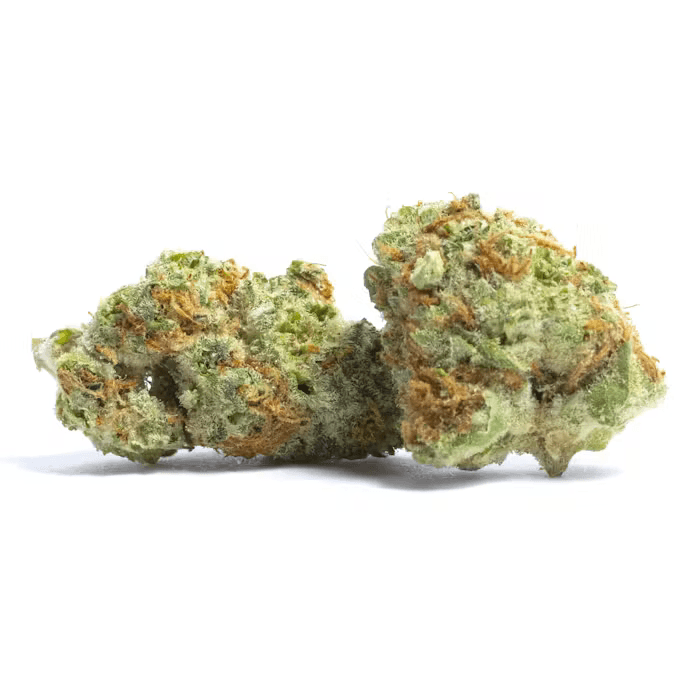 Silly Bean cannabis strain buds, 91oz daily serving, 42% THC, indica dominant flower close-up